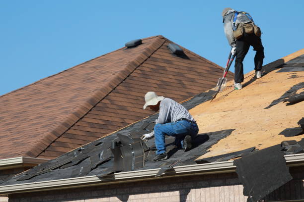 Steel Roofing in Roxborough Park, CO